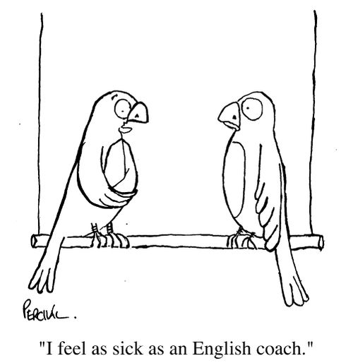 "I feel sick as an English Coach."