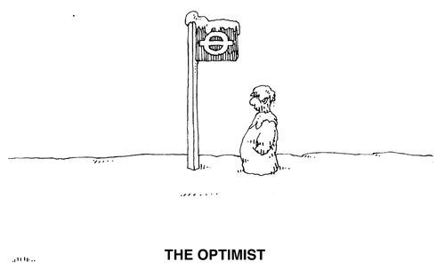 The Optimist
