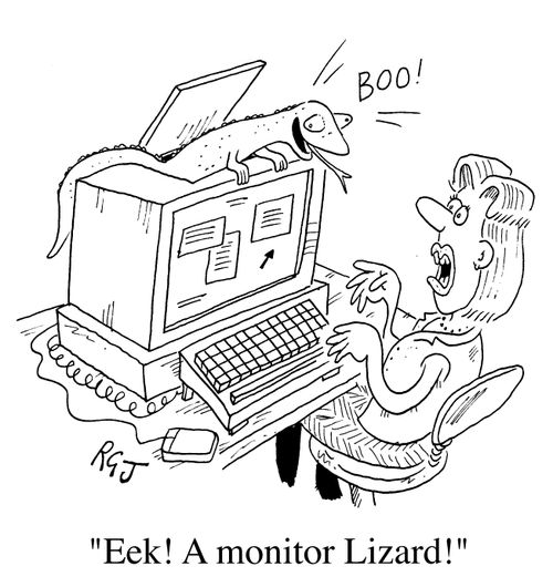 Monitor Lizard