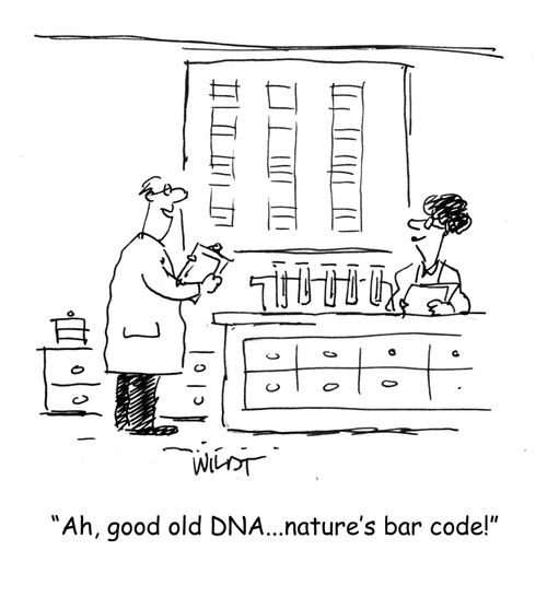 "Ah, good old DNA...nature's bar code!"