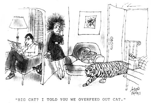 'Big cat?  I told you we overfeed our cat.'
