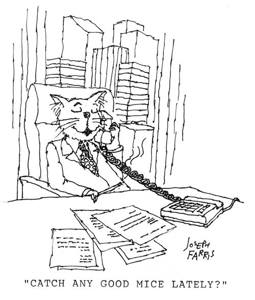 'Catch any good mice lately?'