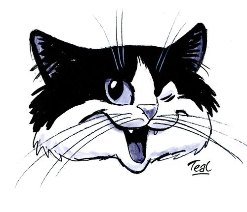 Winking Cat.