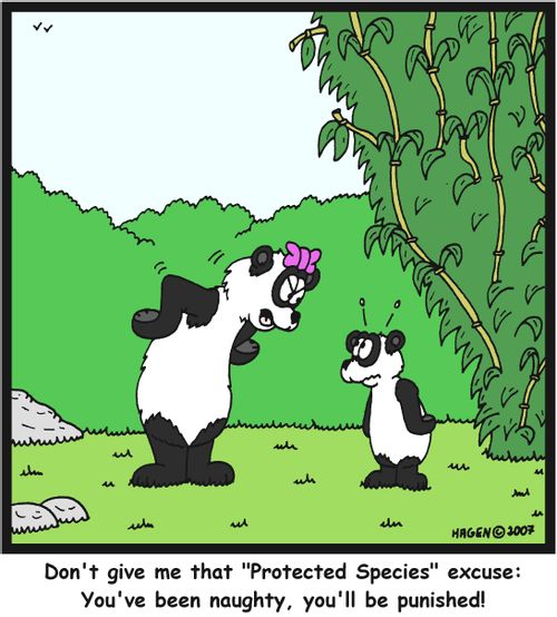 'Don't give me that 'Protected Species' excuse: You've been naughty, you'll be punished!'