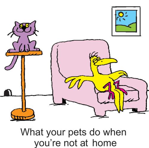 What your pets do when you're not at home.