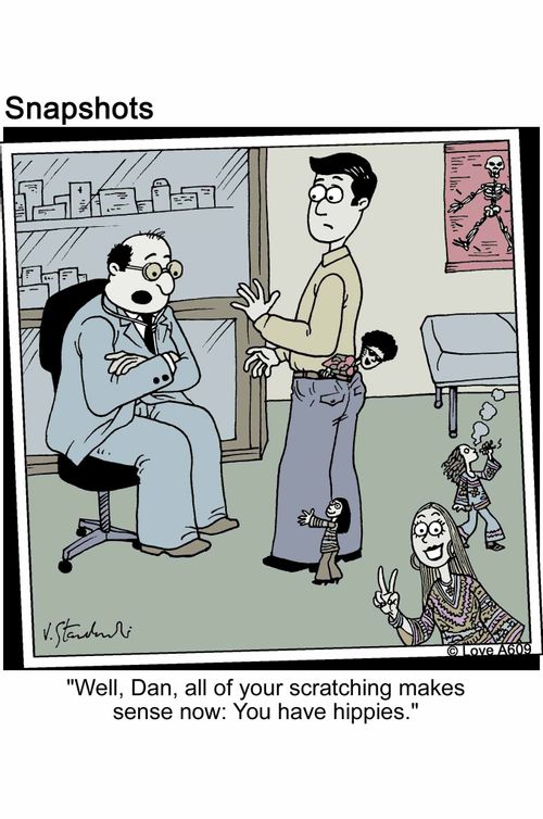 'Well, Dan, all your scratching makes sense now: You have hippies.'