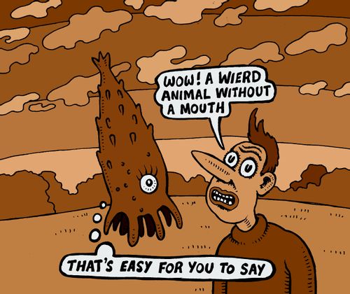 'Wow, a weird animal without a mouth.'