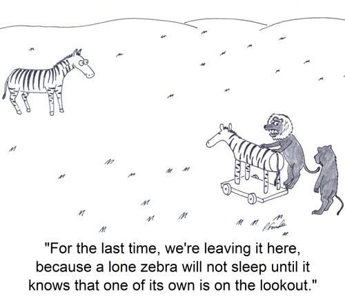 'For the last time, we're leaving it here, because a lone zebra will not sleep until it knows that one of its own is on the lookout.'
