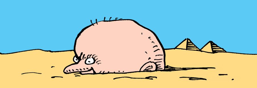 The head of a man sunk in desert sands