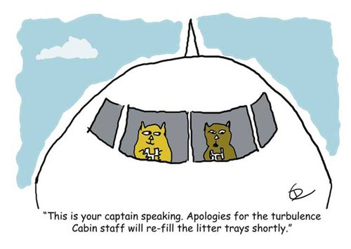 'This is your captain speaking. Apologies for the turbulence. Cabin staff will re-fill the litter trays shortly.'