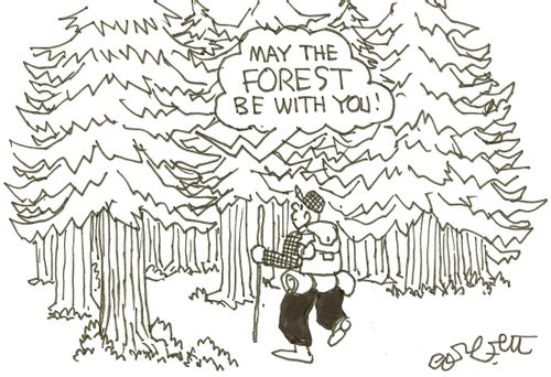 May the forest be with you!
