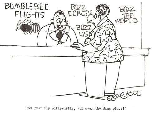 Bumblebee Flights...Buzz Europe, Buaa USA, Buss the world: 'We just fly willy-nilly all over the dang place!'