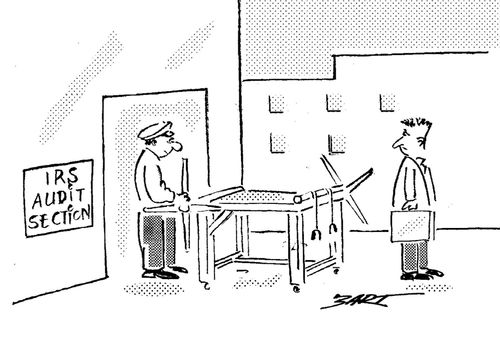 IRS Audit Section