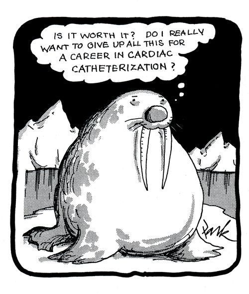'Is it worth it? Do I really want to give all this up for a career in cardiac catheterization?'