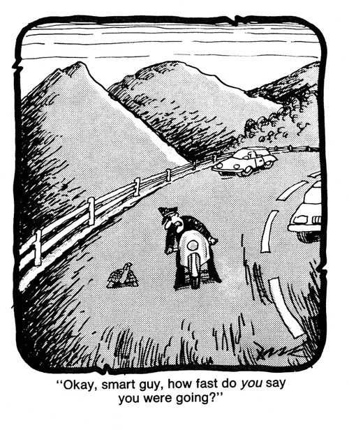 'Okay, smart guy, how fast do you say you were going?'