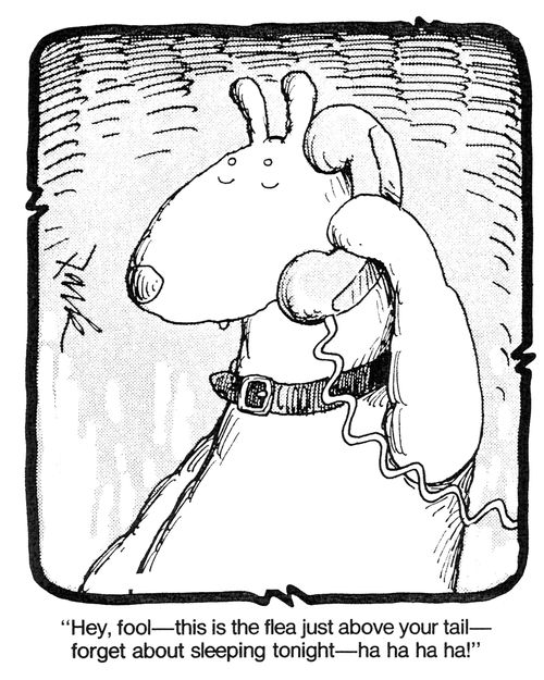 'Hey, fool - this is the flea just above your tail - forget about sleeping tonight - ha ha ha ha!'