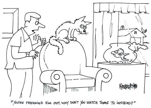 'You're freaking him out. Why don't you watch some TV instead?'