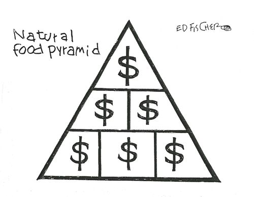 Food Pyramid.