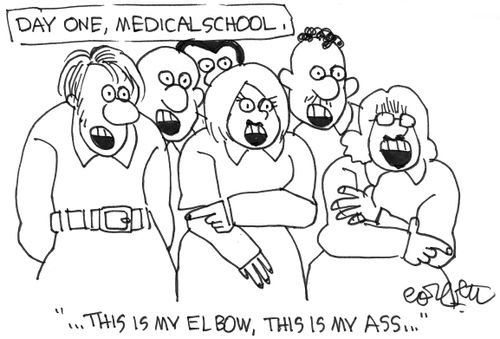 Day one, medical shool: 'This is my elbow, this is my ass...'