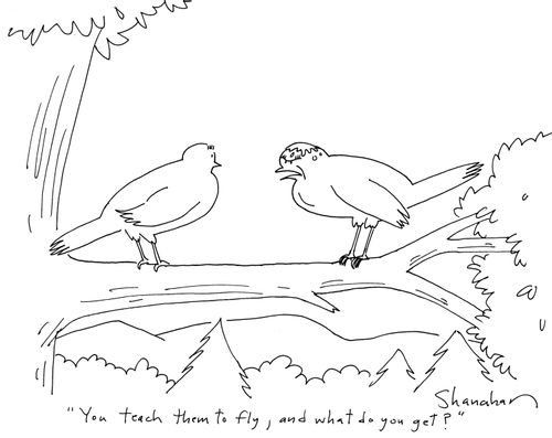 'You teach them to fly, and what do you get?'