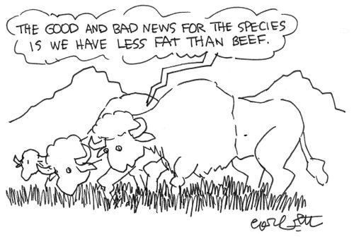 The good and bad news for the species is we have less fat than beef.