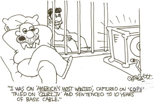 'I was on 'AMERICA'S MOST WANTED', captured on 'COPS', tried on 'COURT TV' and sentenced to 10 years of basic cable.'