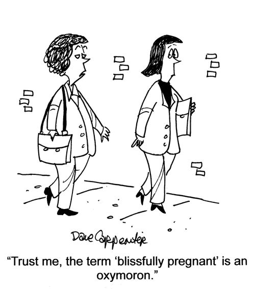 'Trust me, the term 'blissfully pregnant' is an oxymoron.'
