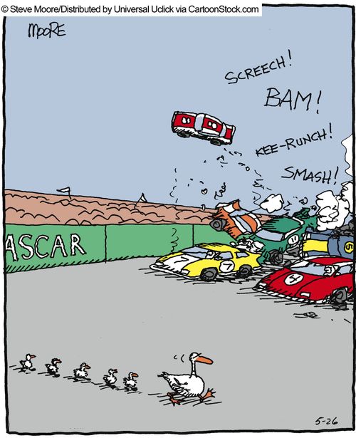 Ducklings cause racing track collisions.