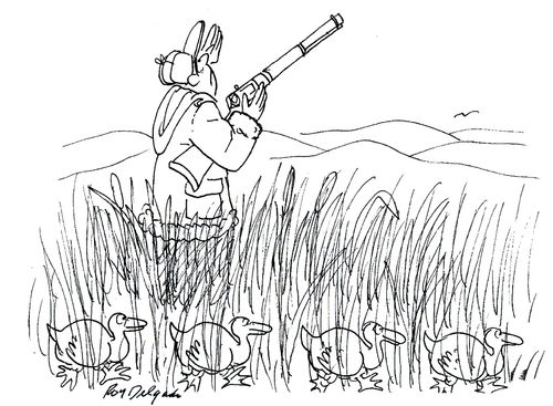 Birds Hide As They Sneak Past The Hunter.