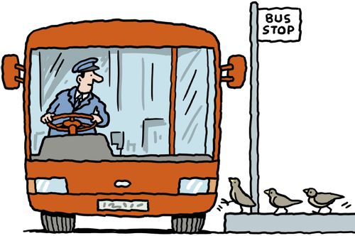 Homing pigeons boarding a bus.