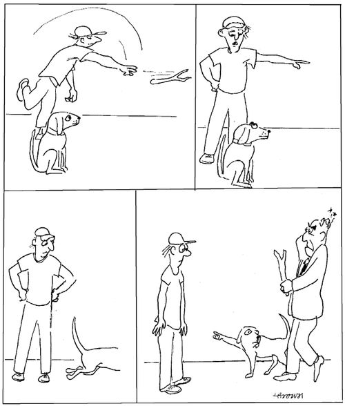 Man throws a stick for his dog but the dog retrieves the man he accidentally hit.