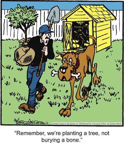 'Remember, we're planting a tree, not burying a bone.'