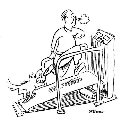 A dog provides the incentive to work out on the running machine.