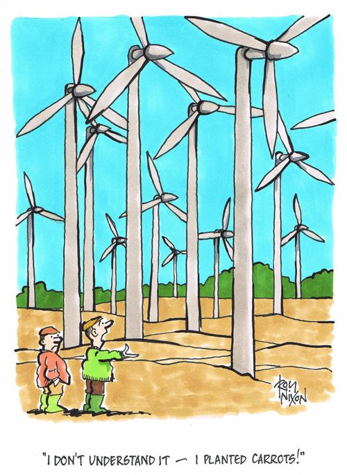 'I don't understand it - I planted carrots.'
