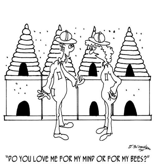 'Do you love me for my mind or for my bees?'