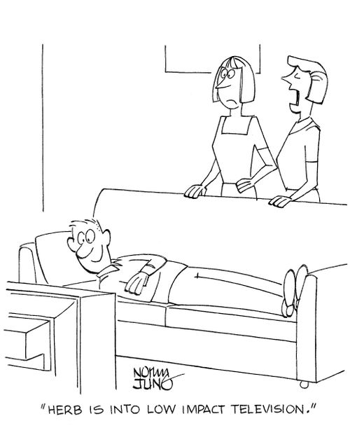 'Herb is into low impact television.'
