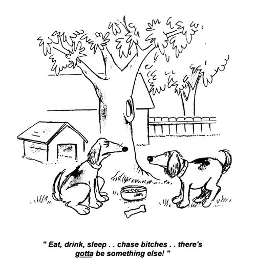'Eat, drink, sleep... chase bitches... there's gotta be something else!'