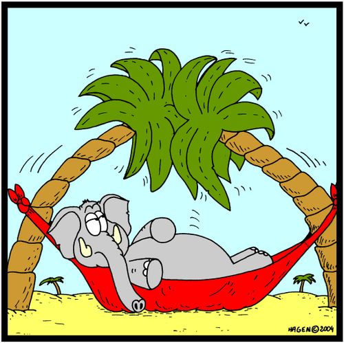 (Elephant in Hammock)