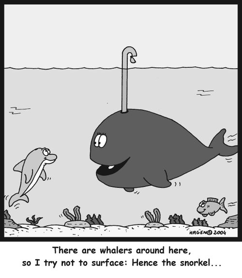 'There are whalers around here, so I try not to surface: Hence the snorkel...'