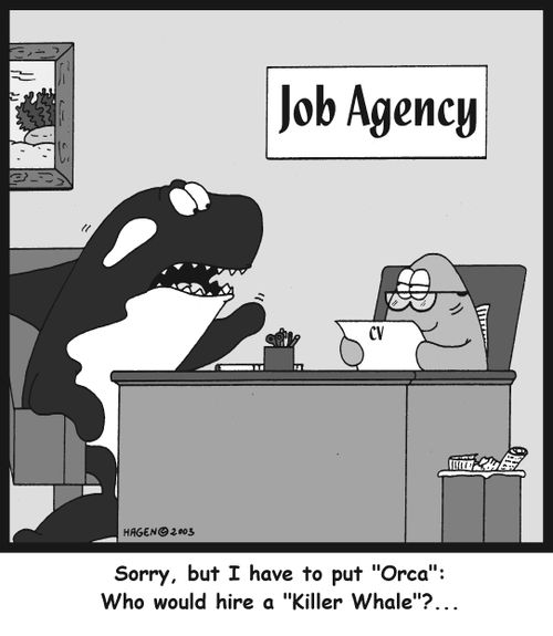'Sorry, but I have to put 'Orca': Who would hire a 'Killer Whale'?...'