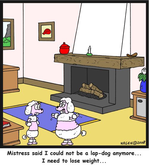 'Mistress said I could not be a lap-dog anymore... I need to lose weight...'