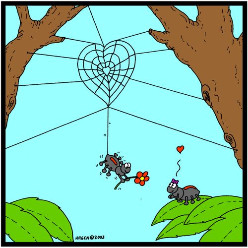 Spiders in Love (colour)