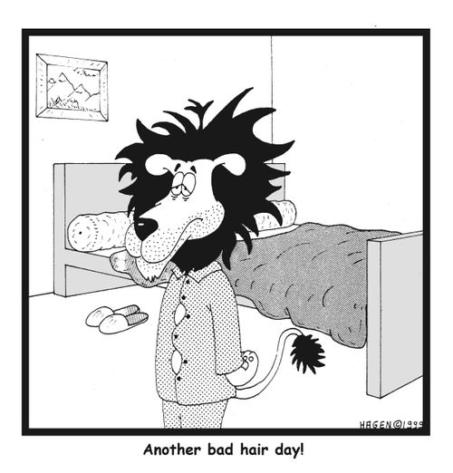 Another bad hair day!