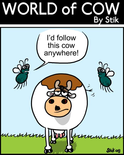 I'd follow this cow anywhere!