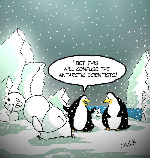 'I bet this will confuse the Antarctic scientists!'