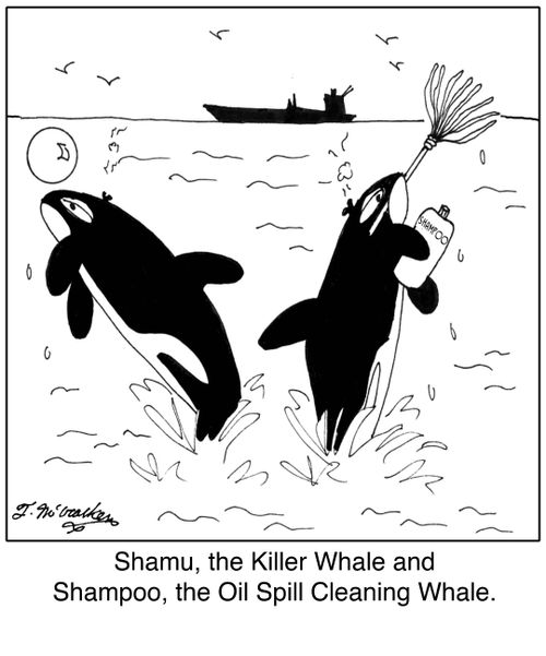 Shamu, the Killer Whale and Shampoo, the Oil Spill Cleaning Whale.