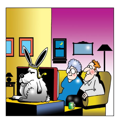 Bunny TV.