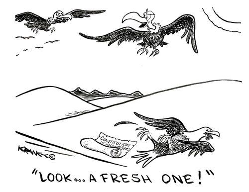 'Look...a fresh one!'