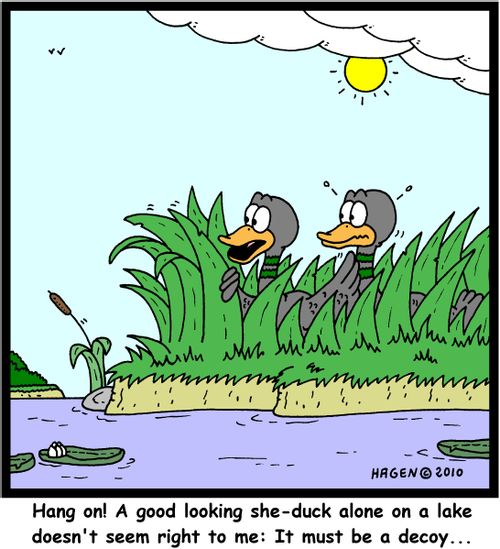 'Hang on! A good looking she-duck alone on lake doesn't seem right to me: It must be a decoy...'