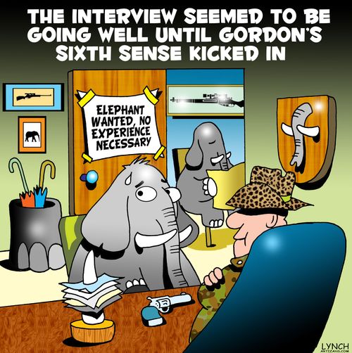 The interview seemed to be going well until Gordon's sixth sense kicked in.